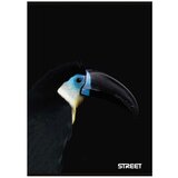 STREET Zvezek A4 Safari, črte z robom, 54 listov, sortirano, 1 kos | Shoptok.si