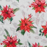 XMAS NAMIZNI PRT Cene