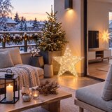 Brilagi LED Spoljašnja božićna dekoracija LED/3,3W/230V IP44 50 cm zvezda | Eponuda.com