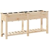vidaXL Vrtni zasadni posod z mrežami 161x43x76 cm Trden bor, (22010825) | Shoptok.si