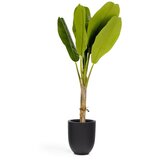 Kave Home Umetna palma (višina 160 cm) Baa – u