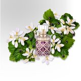 Roberto Cavalli Florence parfumska voda 75 ml za ženske | Shoptok.si