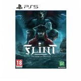 Fireshine Games PS5 Flint: Treasure Of Oblivion