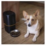  dozirnik hrane za hišne živali GoSmart H6002, Wi-Fi, 4 L, črna | Shoptok.si
