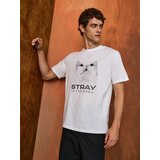 Sinsay Majica s printom | shoptok.hr