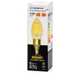 Aigostar led prigušiva sijalica filament C35 E14/4,5W/230V 2700-6500K wi-fi | Eponuda.com