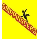  Slippingcers Steam Key GLOBAL | ePonuda.com