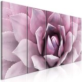  Slika - Agave (5 Parts) Narrow Pink 200x80 Cijene