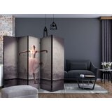  Paravan u 5 dijelova - Classical dance - poetry without words II [Room Dividers] 225x172 | shoptok.hr