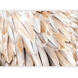  Foto tapeta - Close-up of bird's wings - uniform close-up on beige bird feathers 500x350 | shoptok.hr