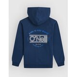 O'neill Graphic Kids Pulover s kapuco english evening | Shoptok.si
