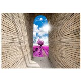  Tapeta - Magical Passage 350x245 | shoptok.hr