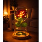 Eternal Rose In Glass Dome LED Lighting Red 21x11cm | Shoptok.si