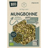  Mungo fižol BIO - mikrozelenje/semena kalčkov - 40 g | Shoptok.si