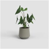 Artevasi Keramička tegla za cvijeće ø 20 cm Aurora – | shoptok.hr
