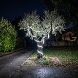 Eglo LED trakovi Collepasso (Temperatura barve: 5.500 K, 25 m, IP65) Cene