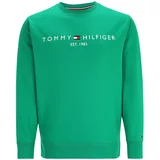Tommy Hilfiger Big & Tall Sweater majica zelena / crvena / bijela