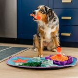 Play Prostirka za njuškanje Coral Reef – | shoptok.hr
