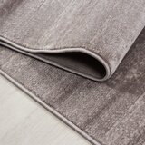 Ayyildiz Carpets Bež tepih 80x150 cm Plus – | shoptok.hr