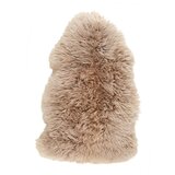 Modern Living Ovčja Koža Jenny -Akt- | Shoptok.si