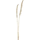 Eglo 428365 - Veštačko cveće MIADOL, 71,5 cm, zlatne boje | Eponuda.com