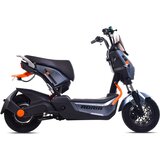  BICIKL E-BIKE E2 RX20 SIVA 2026 Cene