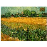 Fedkolor reprodukcija slike vincenta van gogha - view of arles with irises in the foreground, 40 x 30 cm Cijene