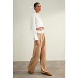 Trendyol Mink Premium Woven Trousers With Double Belt Detail Cene
