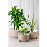 WALLXPERT TRPTSKS-3-3 cream vase set Cene