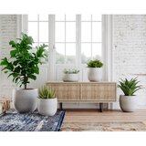 Artevasi Keramičen ročno poslikan cvetlični lonec ø 20 cm Hemera – | Shoptok.si