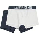 Calvin Klein Underwear Gaće mornarsko plava / bijela