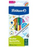  BOJE DRVENE 24BOJE OBOSTRANE PK12 PELIKAN 700146 (100401585) BLISTER | Shoptok.si