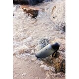 Sagaform Črna steklenica za vodo za na pot iz reciklirane plastike 650 ml Tom – | Shoptok.si