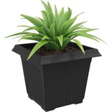  Kvadratna saksija za cvijeće 6 pcs Crna 28,5 x 28,5 x 22 cm | shoptok.hr