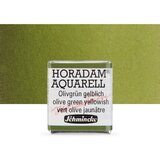  Akvarel boje Schmincke Horadam pola posudice | 525 Olive Green Yellowish Cene