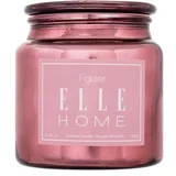 Elle Home Figuier 350 g dišeča svečka