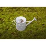 Esschert Design Kovinska zalivalka 8 l – | Shoptok.si
