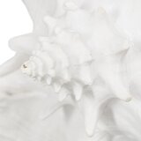 Ixia Kipić od polyresina (visina 13 cm) Seashell – | shoptok.hr