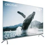 03625 - TV QLED serija V3+ VQU30075+S, (22118890)