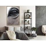 Poster - Gentle Eyes 20x30 | shoptok.hr