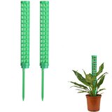 INF Kolčki za mah za vzpenjavke grass color, (21745786) | Shoptok.si