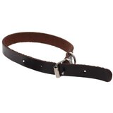 Master Ogrlica kožna za psa 15 2001 | Eponuda.ba