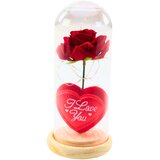  Rose in Dome with LED Lighting Red with Heart 18.5x8cm | Shoptok.si