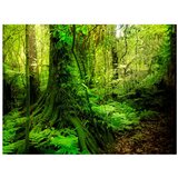  Tapeta - Jungle 200x154 | shoptok.hr