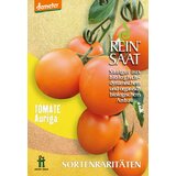 ReinSaat Solatni paradižnik "Auriga" Cene