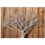  Tapeta - Knot of Life 100x70 | shoptok.hr