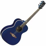 Eko guitars nxt A100 blue