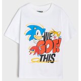 Sinsay Pamučna majica s printom Sonic the Hedgehog | shoptok.hr
