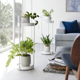 YAMAZAKI Kovinsko stojalo za cvetlične lonce (višina 70 cm) Tower – | Shoptok.si