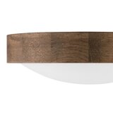  Brilagi - LED plafonsko svetlo CARVALHO SLIM 1xE27/60W/230V hrast/orah fi 27 cm | Eponuda.com